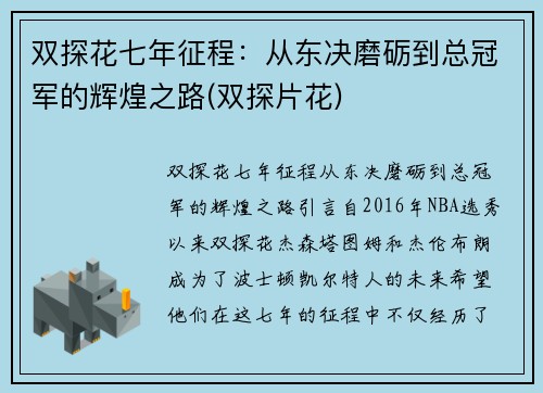 双探花七年征程：从东决磨砺到总冠军的辉煌之路(双探片花)