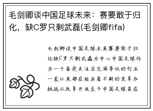 毛剑卿谈中国足球未来：赛要敢于归化，缺C罗只剩武磊(毛剑卿fifa)