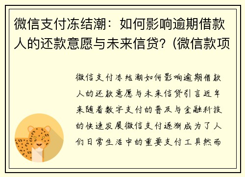 微信支付冻结潮：如何影响逾期借款人的还款意愿与未来信贷？(微信款项被冻结)